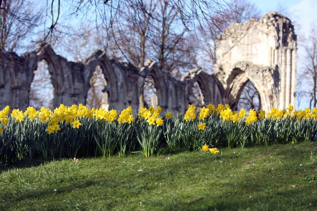 Avondale Guest House York Esterno foto